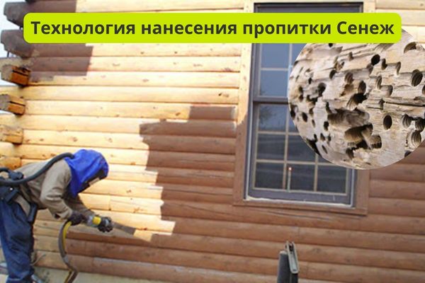 Технология нанесения пропитки Сенеж фото